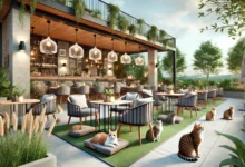 Pet-friendly outdoor restaurant with cozy seating and relaxed cats lounging nearby.