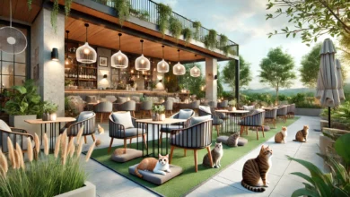 Pet-friendly outdoor restaurant with cozy seating and relaxed cats lounging nearby.